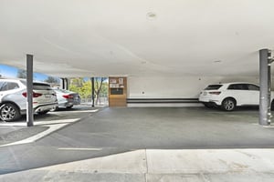 29362132
