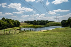 29362906