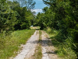 29362914