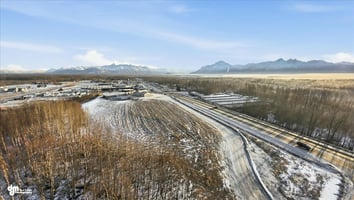 29362989