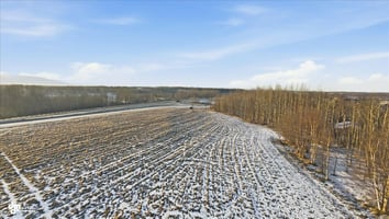 29362992