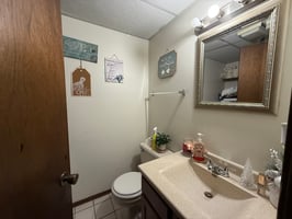29363882