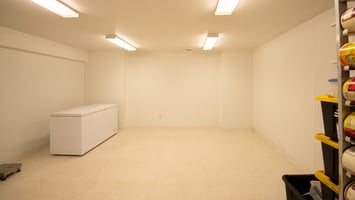 29364244