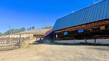 29364259