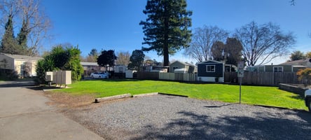 29368272