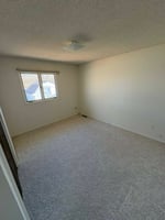 29368343