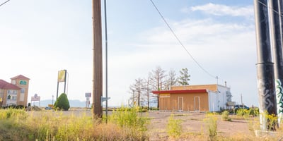 29368856
