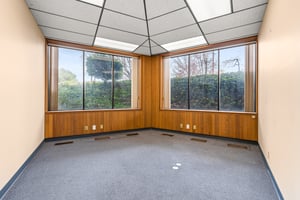 29369041