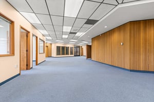 29369039