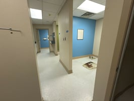 29369472