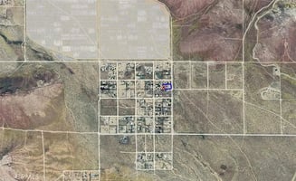 29369705