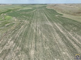 34549079
