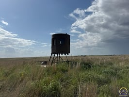 34549068