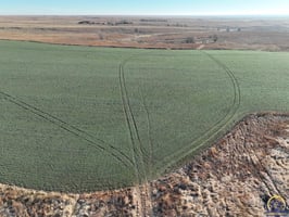 29374239
