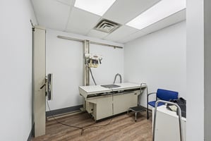 31823031