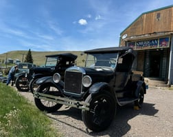 33635309