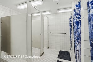 29377393