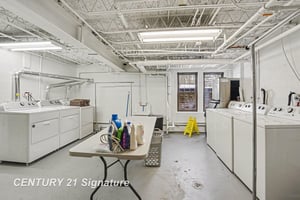 29377394