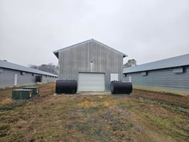 29377554
