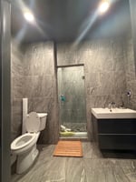 29394862