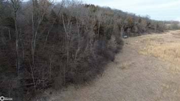 29379035