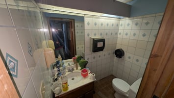 29397946