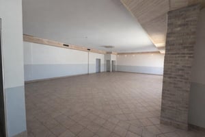 29397957