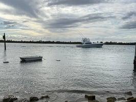 29379727