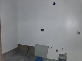 29384383