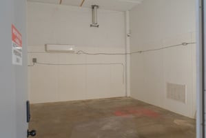 29444911