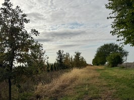 29382961