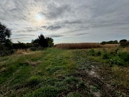 29382958