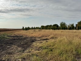 29382959