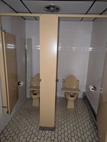 29384198