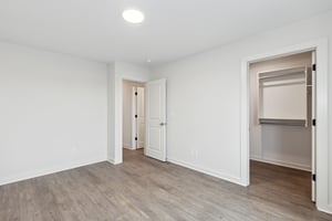 29387077