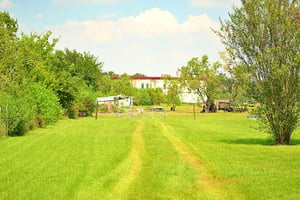 29387664