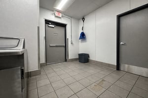 29388020