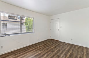 29388131