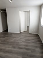 29388084