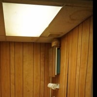 29389246