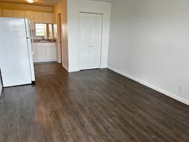 29493243
