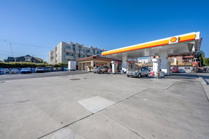 29390049