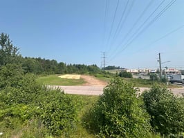 29390333