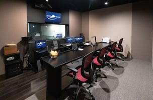 29390425