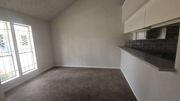 29390544