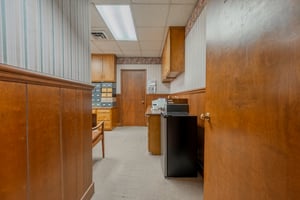 29392638