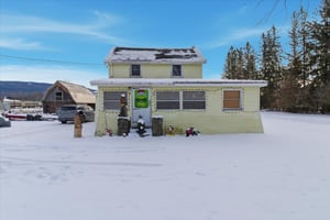 29393507