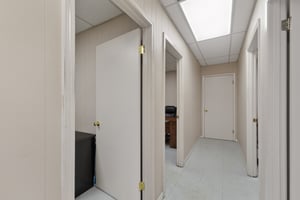 29393752