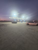 29394231
