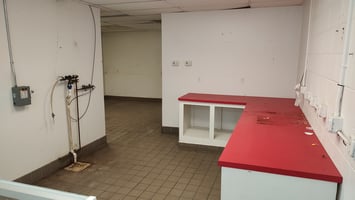 29394539